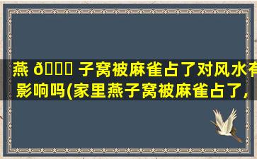 燕 🐞 子窝被麻雀占了对风水有影响吗(家里燕子窝被麻雀占了,对家里 🦊 有影响吗)